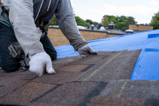 Best Shingle Roofing Installation  in Mallory, WV