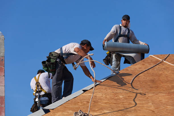 Best Commercial Roofing Services  in Mallory, WV
