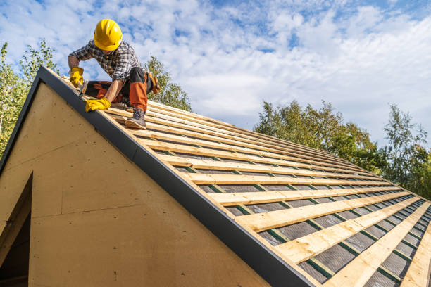 Residential Roof Replacement in Mallory, WV