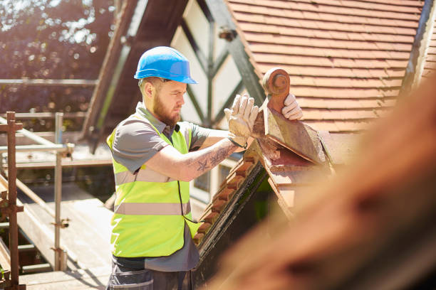 Best Storm Damage Roof Repair  in Mallory, WV